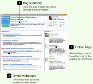 Bag The Web