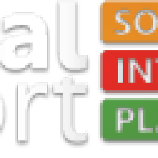 social report