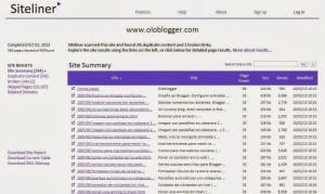 Resumé resultats siteliner