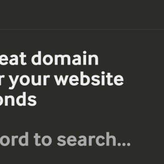 agile domain search