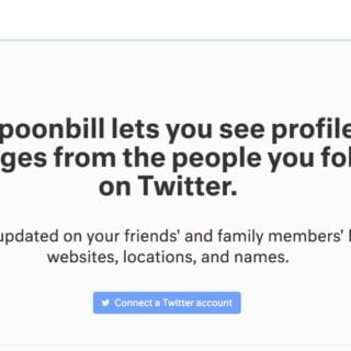 Spoonbill