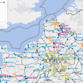 trafic mondial en temps réel